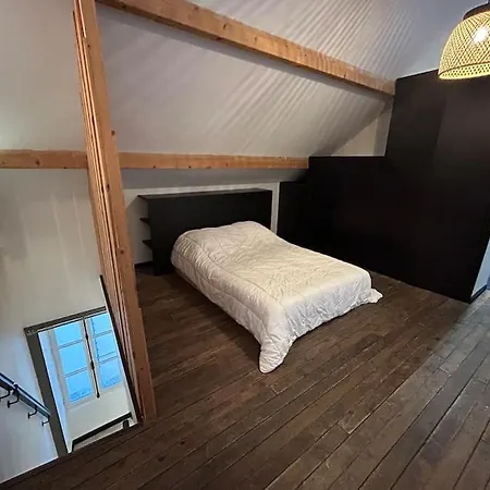 Apartment Loft Laval Centre
