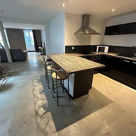 Apartment Loft Laval Centre