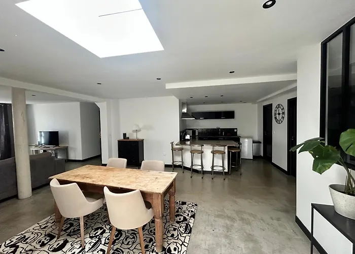 Loft Du Maine Centre * Laval (Mayenne)